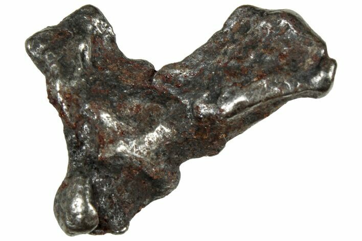 Gebel Kamil Iron Meteorite ( g) - Egypt #302698